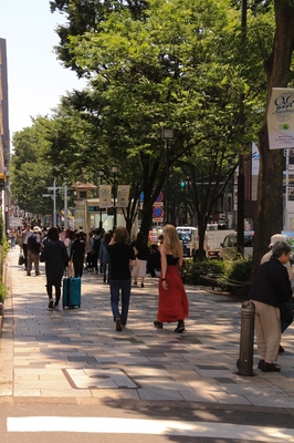 原宿表参道界隈　
