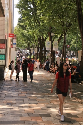 原宿表参道界隈　