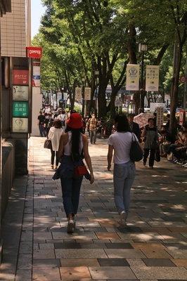 原宿表参道界隈　