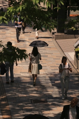 原宿表参道界隈　