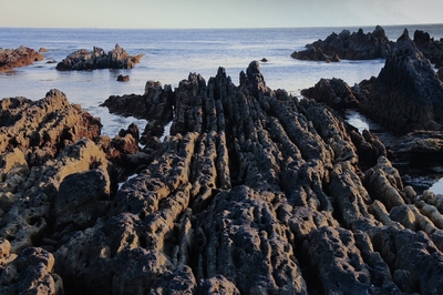 内房・根本海岸　（2019.5.25）