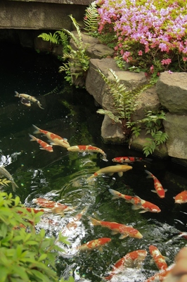 浅草界隈