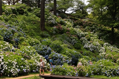 小田原城址　