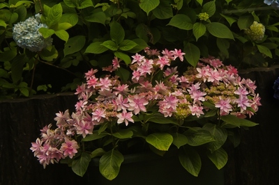 箱根・強羅