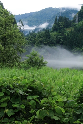 尾瀬・霧幻峡　（2019.7.27）　