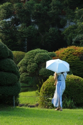 小石川植物園