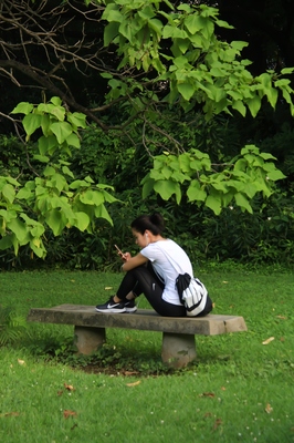 小石川植物園