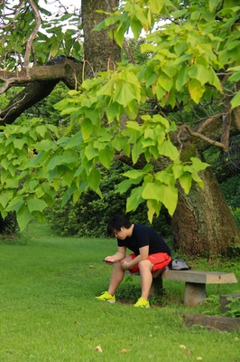 小石川植物園