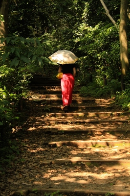 港区白金台　