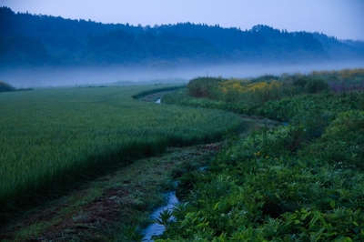 青森・鹿角地区　(2019.8.4)