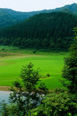 秋田・秋扇湖　（2019.8.5）