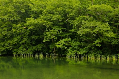秋田・蔦沼　