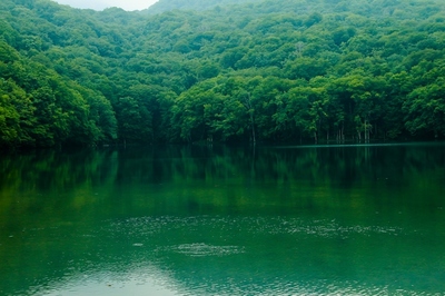 秋田・蔦沼　