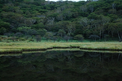 赤城山・覚満淵