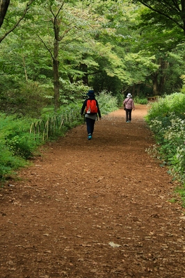 赤城自然植物園　（2019.9.28）