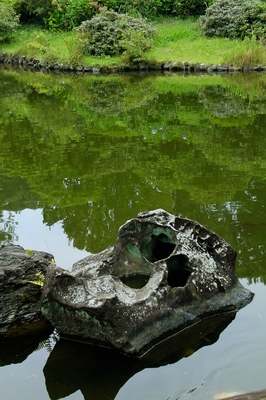赤城自然植物園