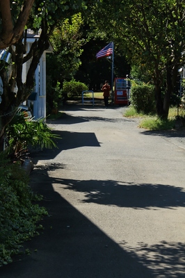 入間・ジョンソンタウン　