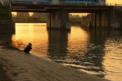都市農業公園
