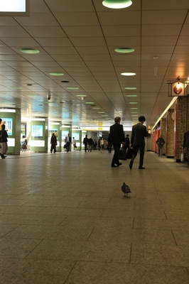 西新宿界隈