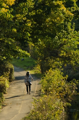 川口市芝川堤