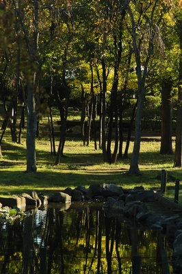 川口エルザタワー公園　