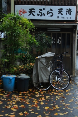 文京区・向丘地区