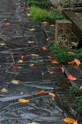 文京区・向丘地区