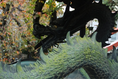 文京区・向丘地区