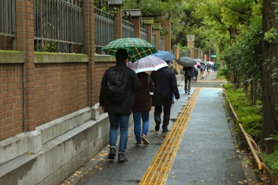 本郷・東京大学　（2019.11.28）