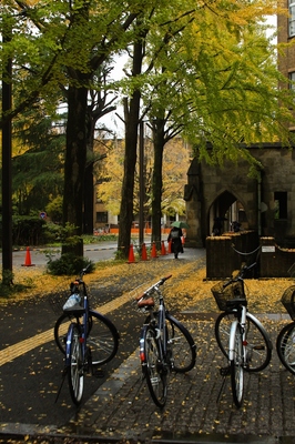 本郷・東京大学