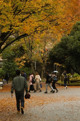 本郷・東京大学