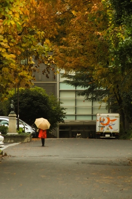 本郷・東京大学