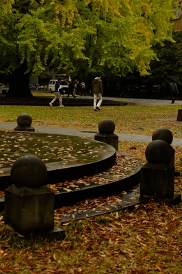 本郷・東京大学