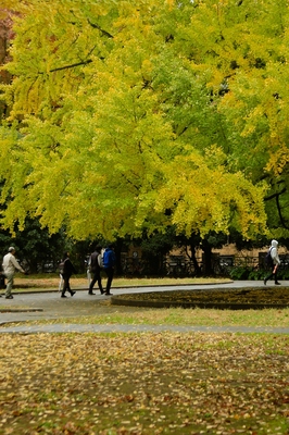 本郷・東京大学