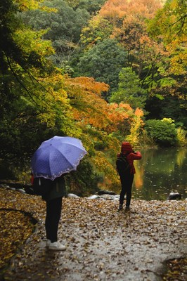 本郷・東京大学