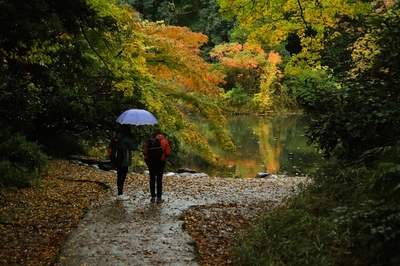 本郷・東京大学