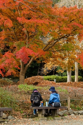 青梅・釜の淵公園