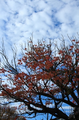 川口市南部　