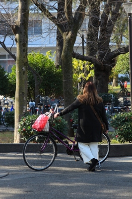 赤羽駅界隈　