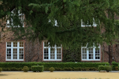 立教大学
