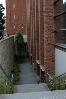 立教大学