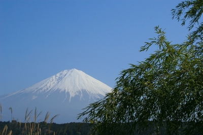 静岡・富士宮市