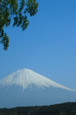 静岡・富士宮市
