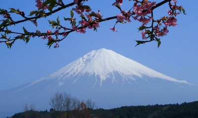 静岡・富士宮市