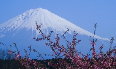 静岡・富士宮市