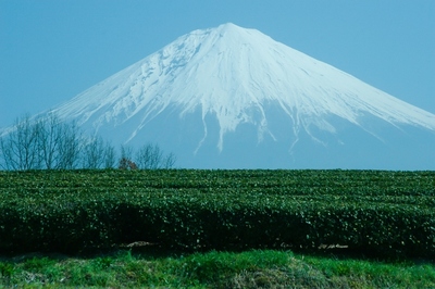 静岡・富士宮市