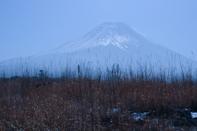 静岡・朝霧高原