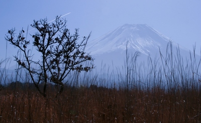 静岡・朝霧高原