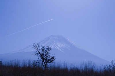 静岡・朝霧高原　（2010.3.14）