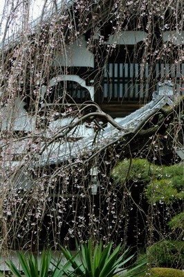 鶴見・総持寺